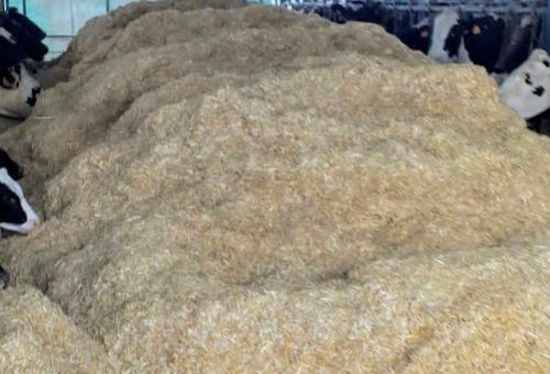 Mezcla seca en alimentación animal