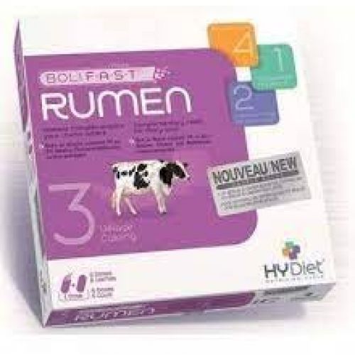 rumen