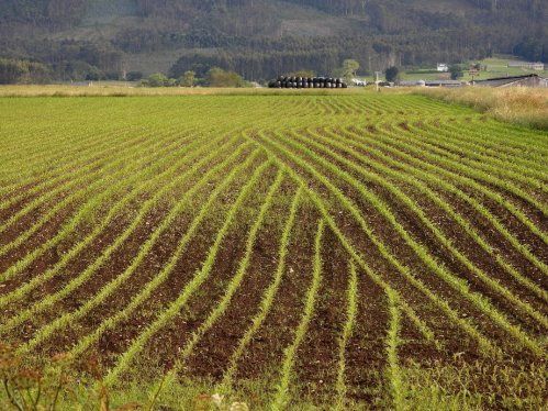 Agricultura de precisión en Asturias