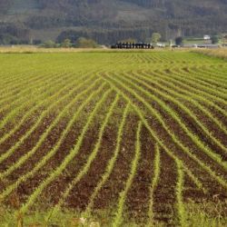 Agricultura de precisión en Asturias