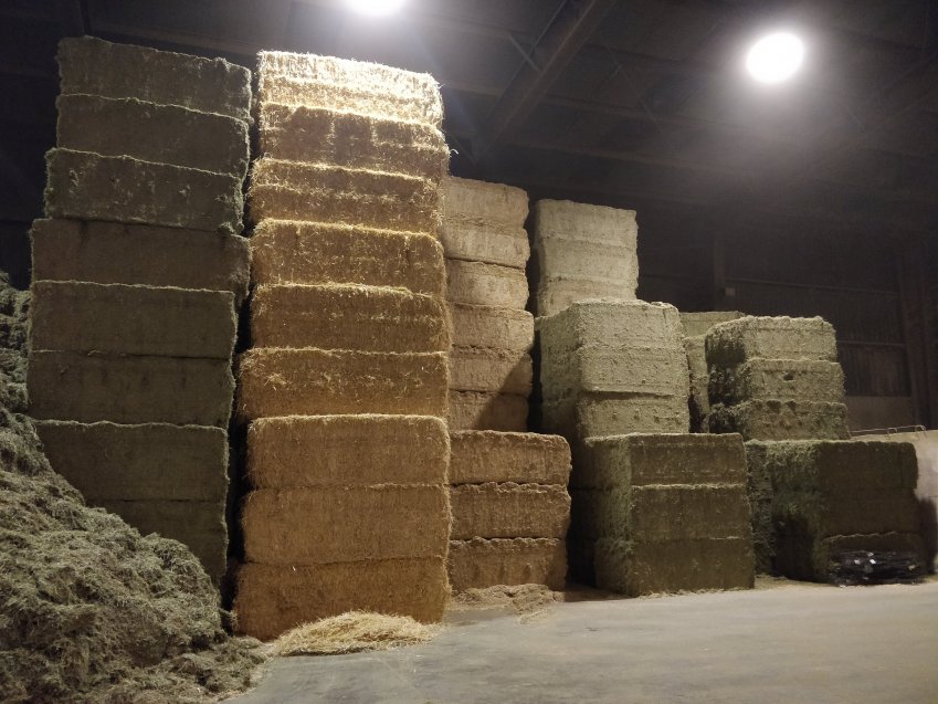 Forrajes | COMERCIAL AGROPRES